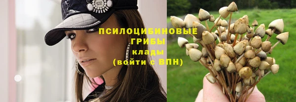 наркотики Алексеевка