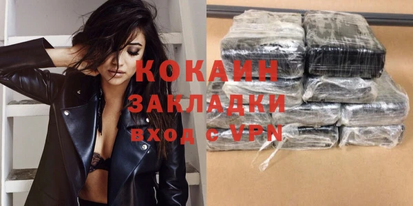 молекула духа Арсеньев